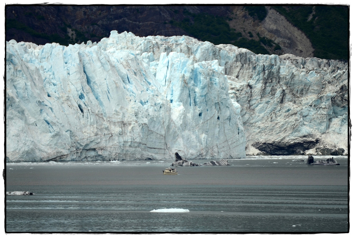 22 de junio. Navegando por Glacier Bay - Alaska por tierra, mar y aire (8)