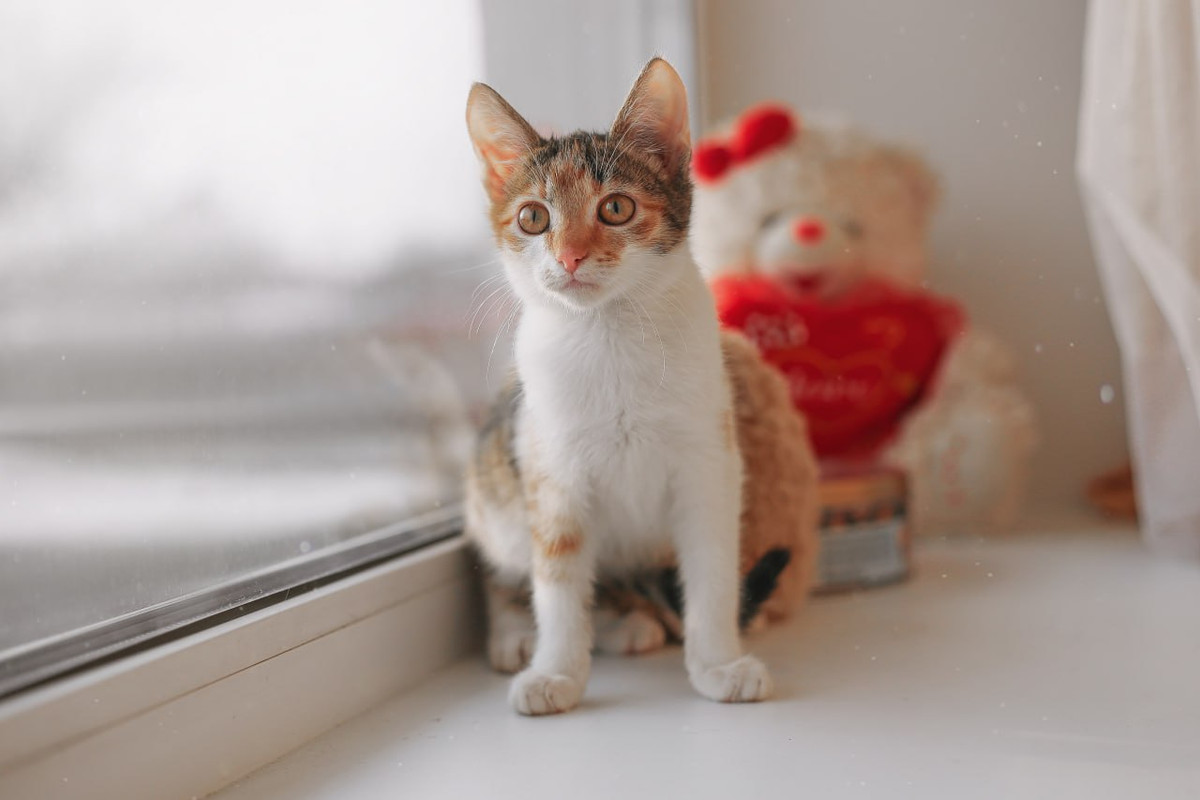 115D3016-740C-4DE4-8802-4902A2943F96