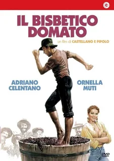 Il bisbetico domato (1980).mkv BDRip 576p x264 AC3 iTA