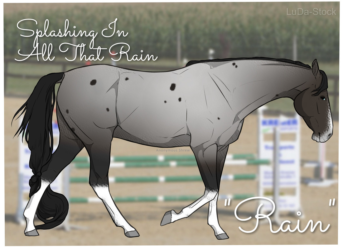 splashinginallthatrain-1.jpg
