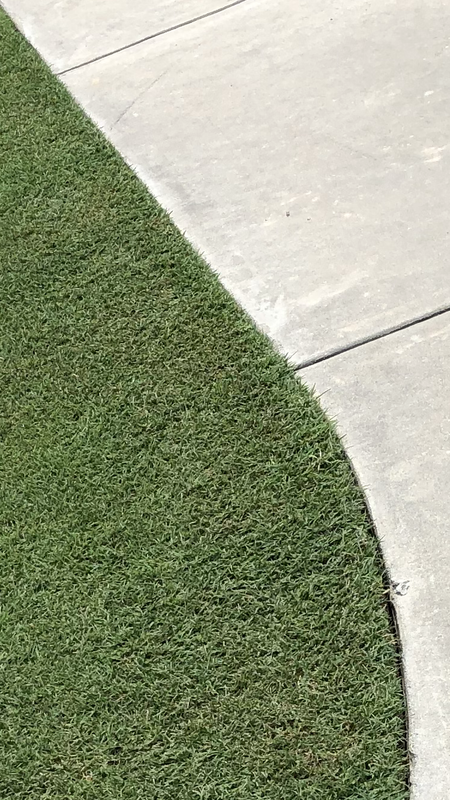 DAB10BF2-DCB2-46ED-A77D-2319E59D729E