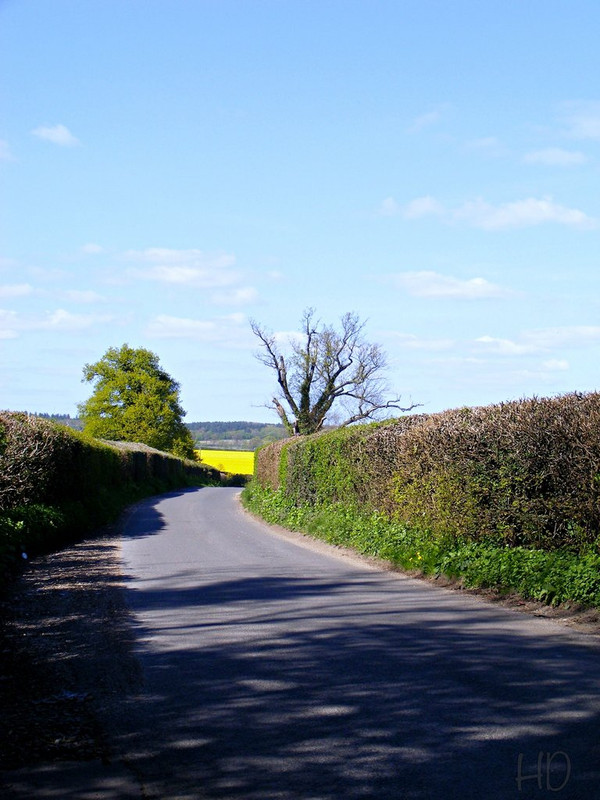 lane-home-HD.jpg