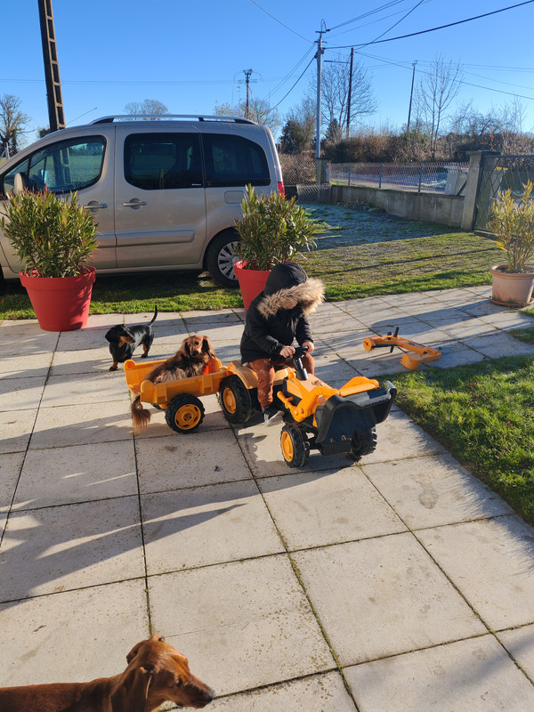 [Image: IMG-20241227-110110.jpg]