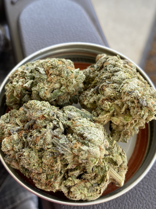 91B63AB4-28B5-43E1-AC4D-302A67C6D444