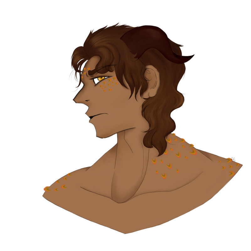 IMG-0317.png