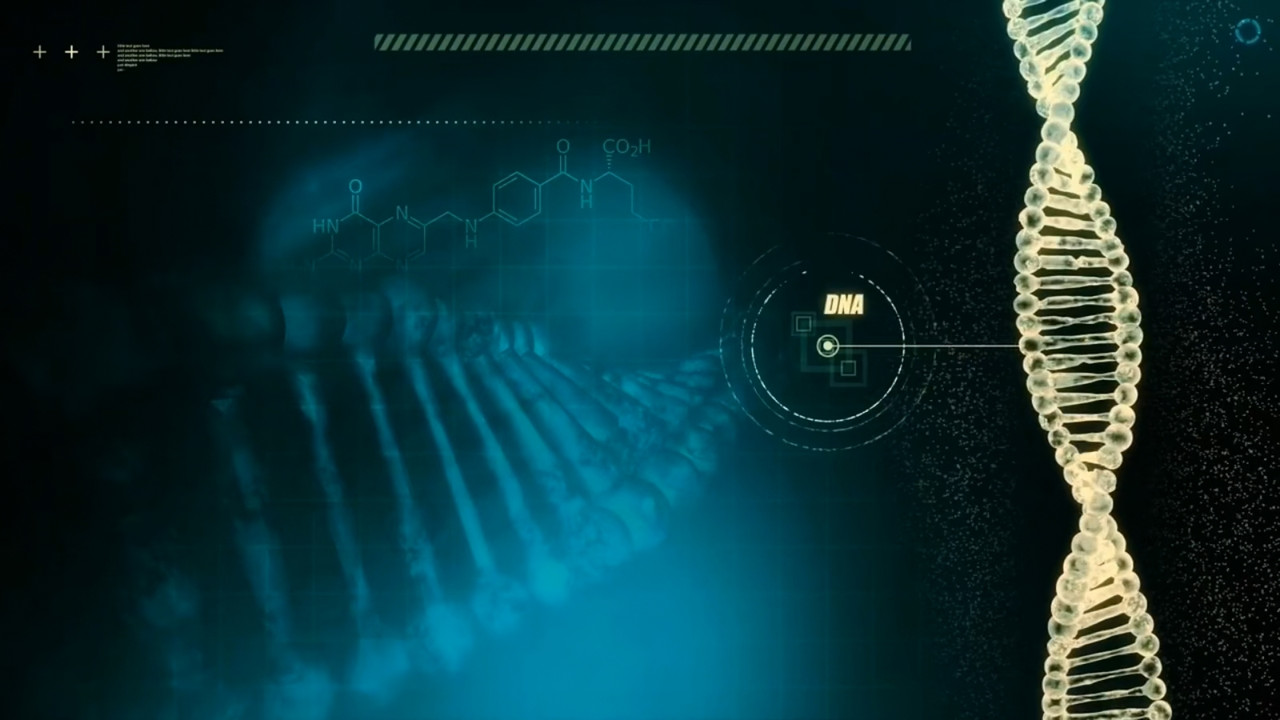 Atlantis - The Future of Mankind (2021) 900p WEB x265 Dr3adLoX.mkv_snapshot_00.45.45_[2021.02.12_14.