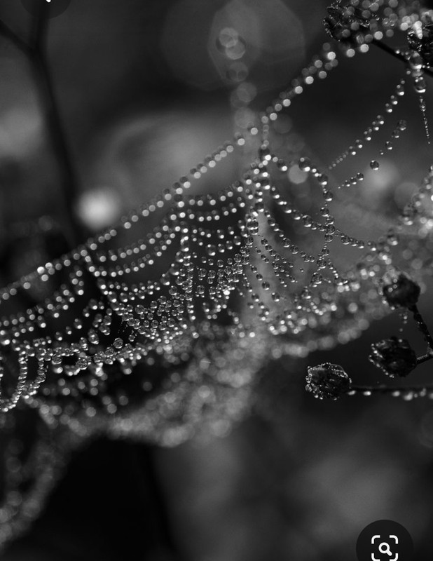 Screenshot_20230514_132834_Pinterest