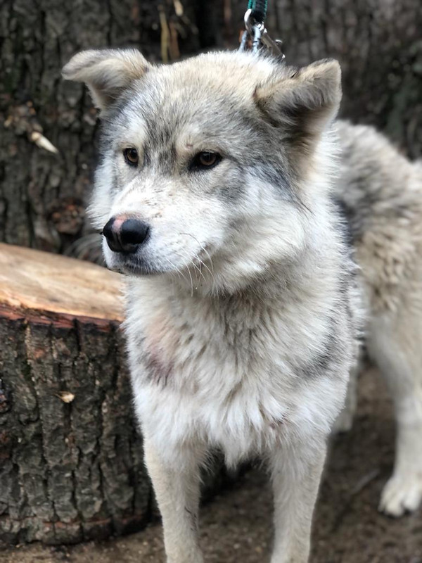 WhatsApp Image 2022-09-07 at 15.46.14 (2)