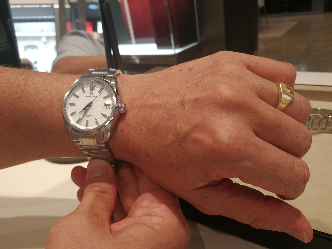 Aide choix montre "indépendante" moins de 8k€ - Page 4 Whitebirch