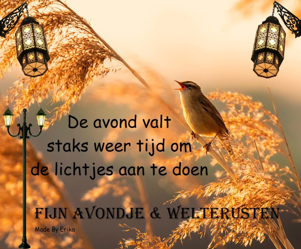 890C9D4A-ED6F-48BF-B0DC-FB05F56207BE