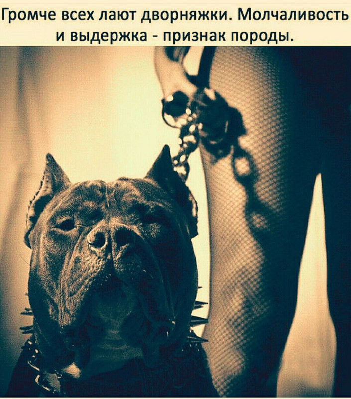 [Изображение: 66e3ad8234c0cd41e01f0fa0b57213ed.jpg]