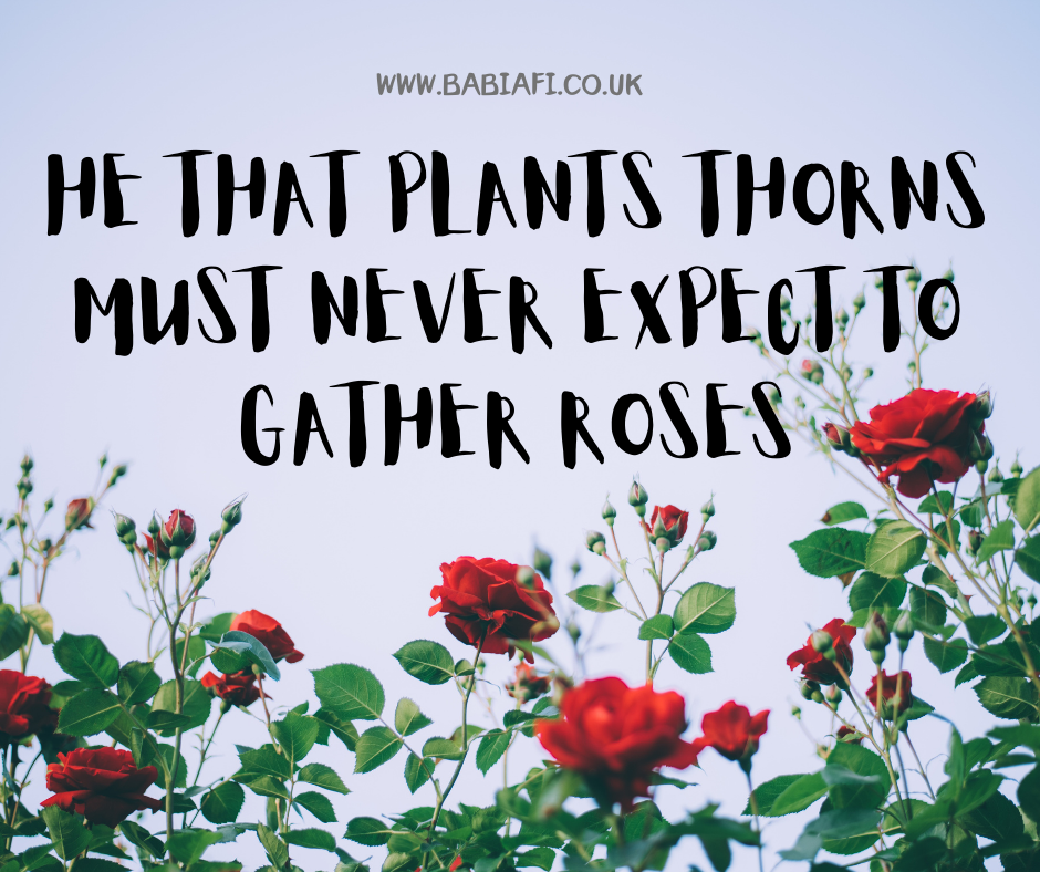 He that plants thorns must never expect to gather roses.