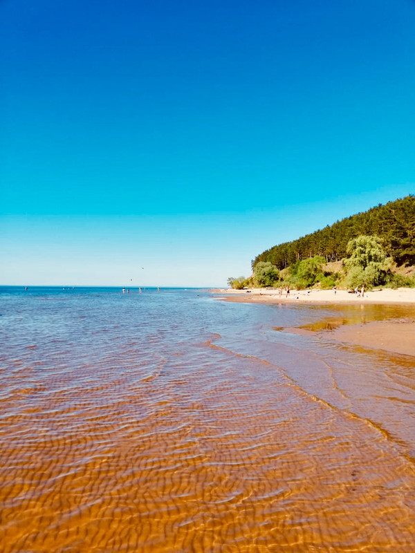 E2E4C541-A00C-405C-BB72-CB117F733F15