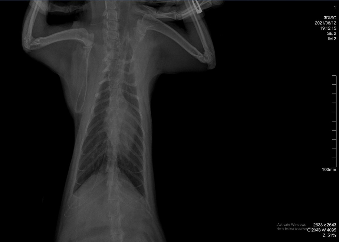 12_08_21(сверху)