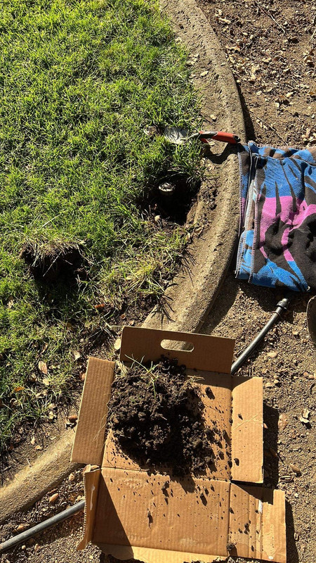 8E1E6A64-4452-4BE1-B85D-95390B70520D