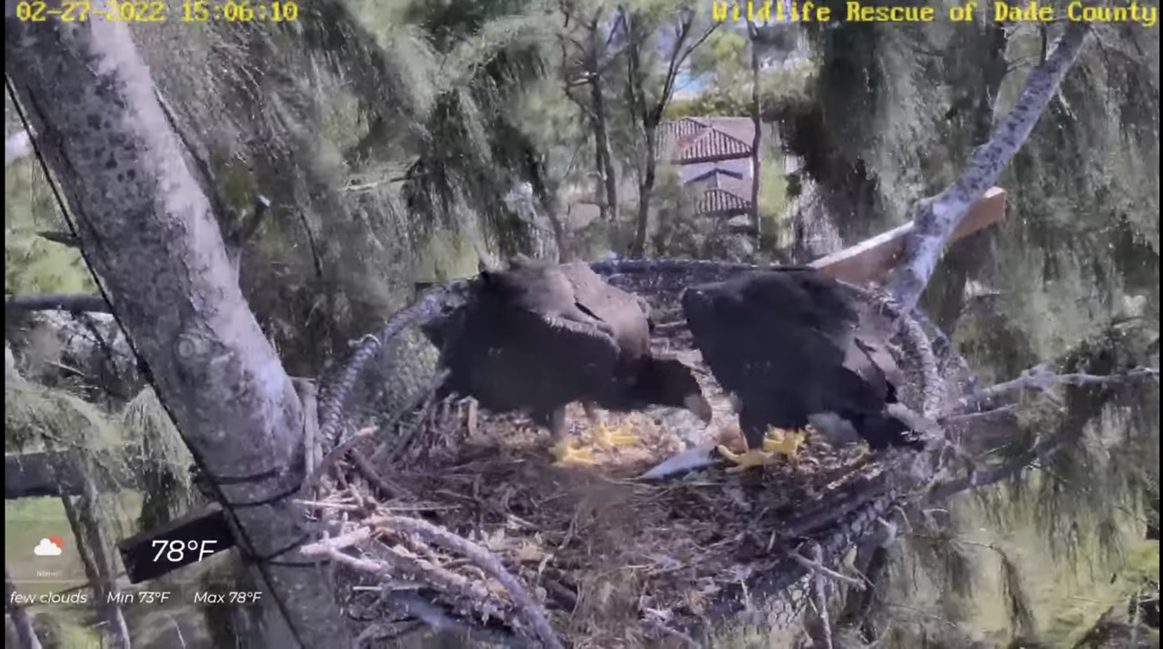 D07CD86F-7648-4F1B-87DA-373C95B44AE2