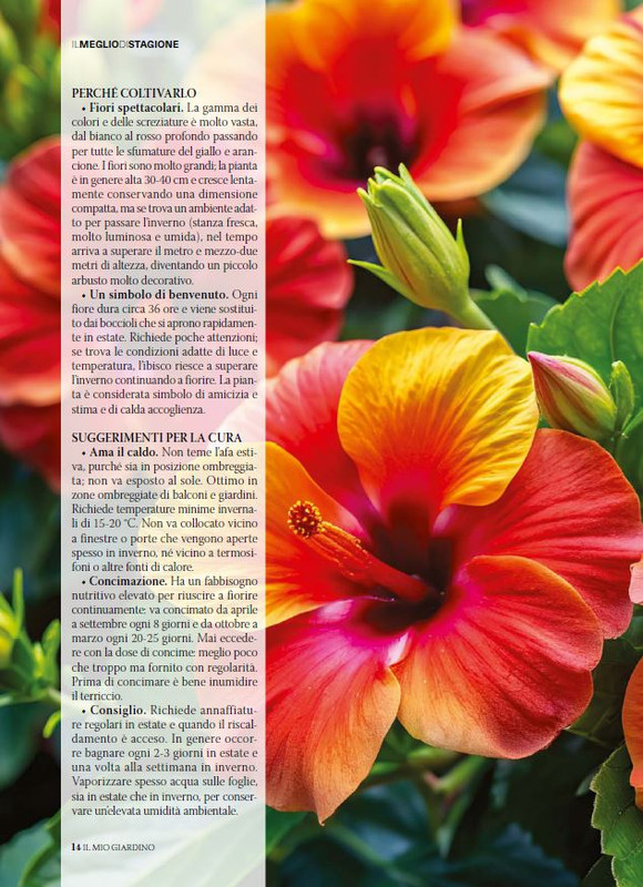 Il Mio Giar Giu-Lug 2025 (1)