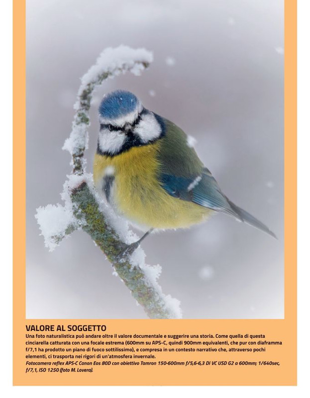 FOTO Cult Feb 2022 (3)