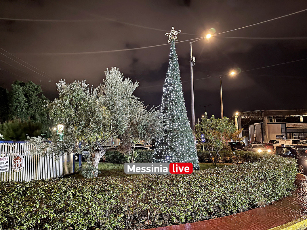 ΔΙΟΚΛΗΣ ΔΕΝΤΡΟ IMG_5332