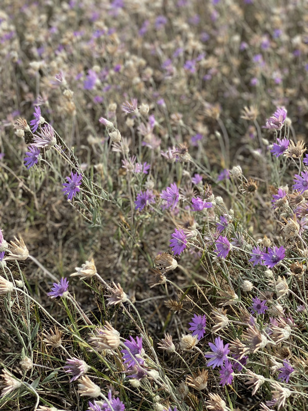 37BB8B09-3124-4AA6-9081-B06E70698173