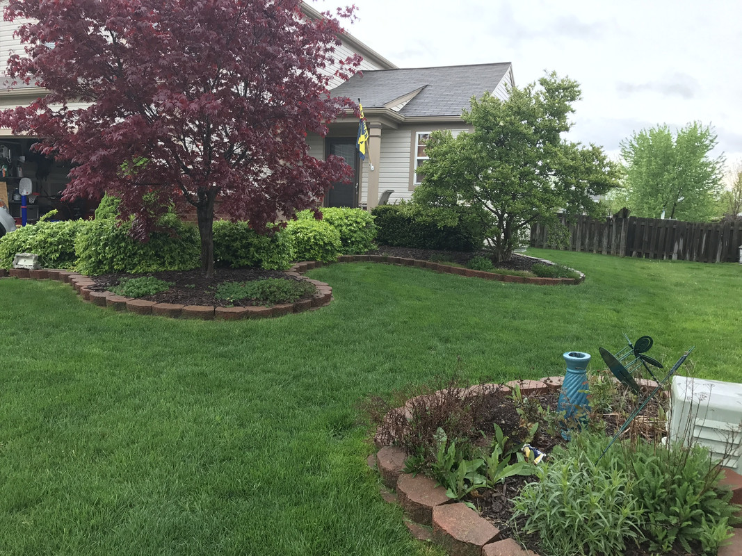 4AA85E2B-0ED1-43C5-8C8C-3C77201B4452