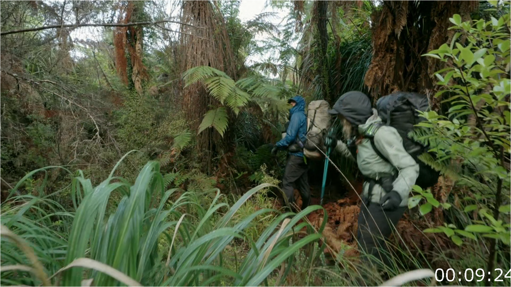 [Image: v6kdg8hm63he.png]