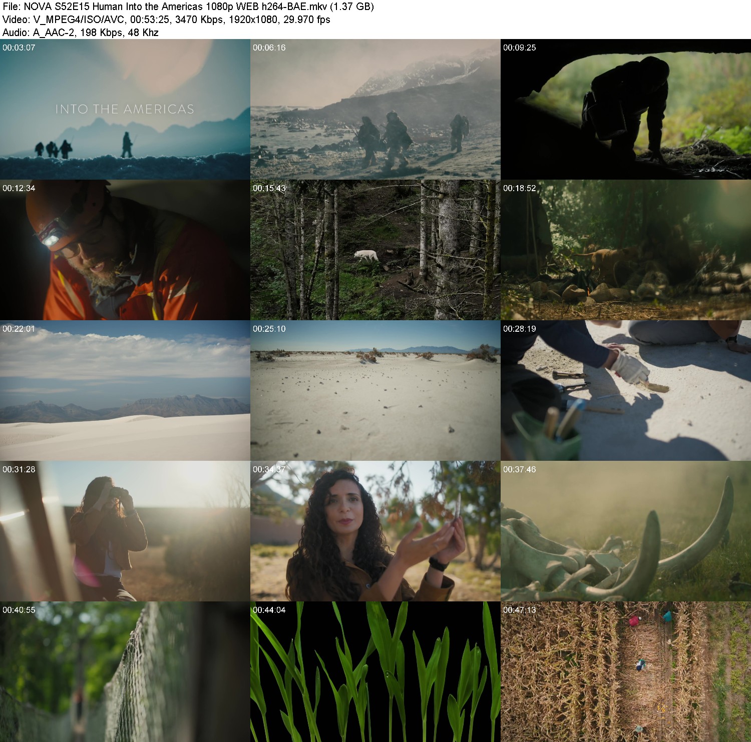 [Image: 6pwt9t9wudk4.jpg]