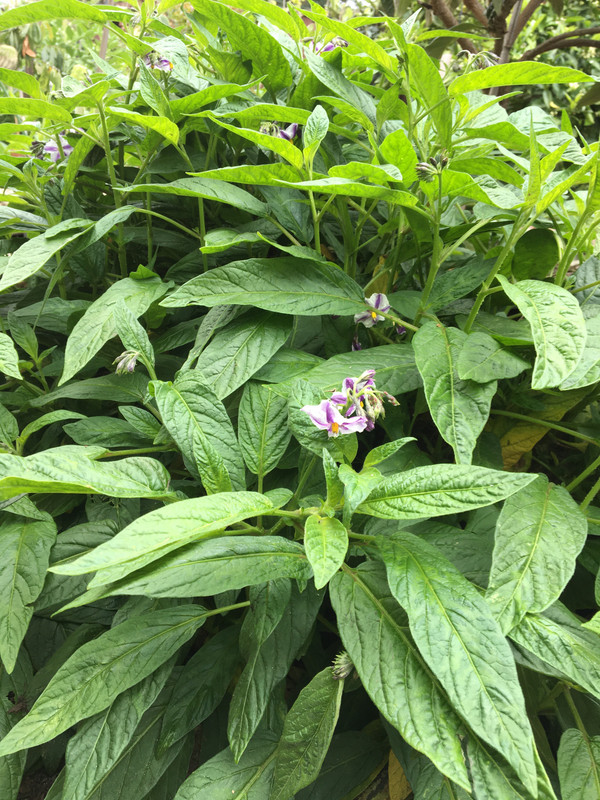 762608DA-66A9-43A1-855F-B252B9B4278F