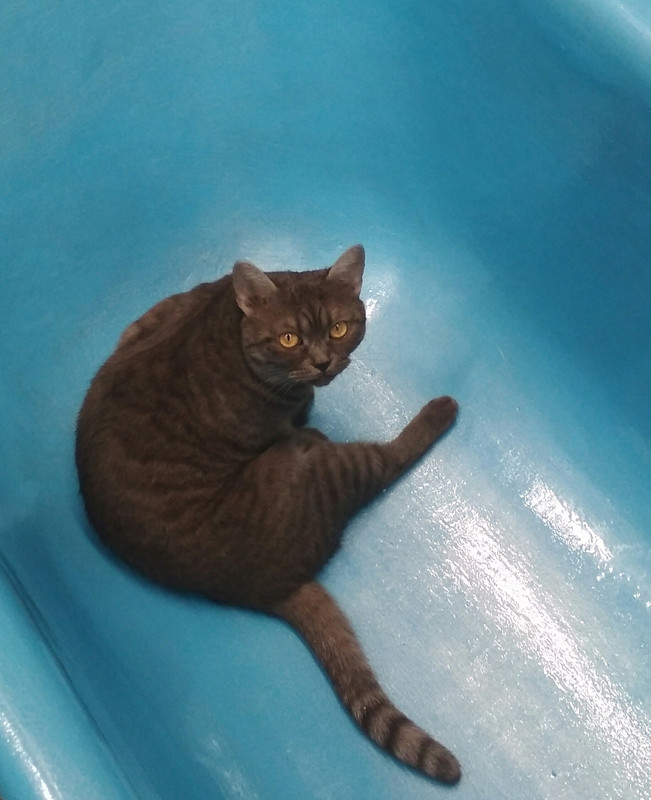 IMG_20210415_195051~2