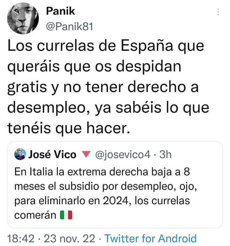 FB_IMG_1669304658348