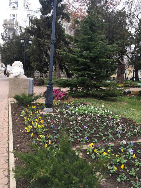 C5378A7D-775E-4FC2-AE7D-E334E1CFBCFA