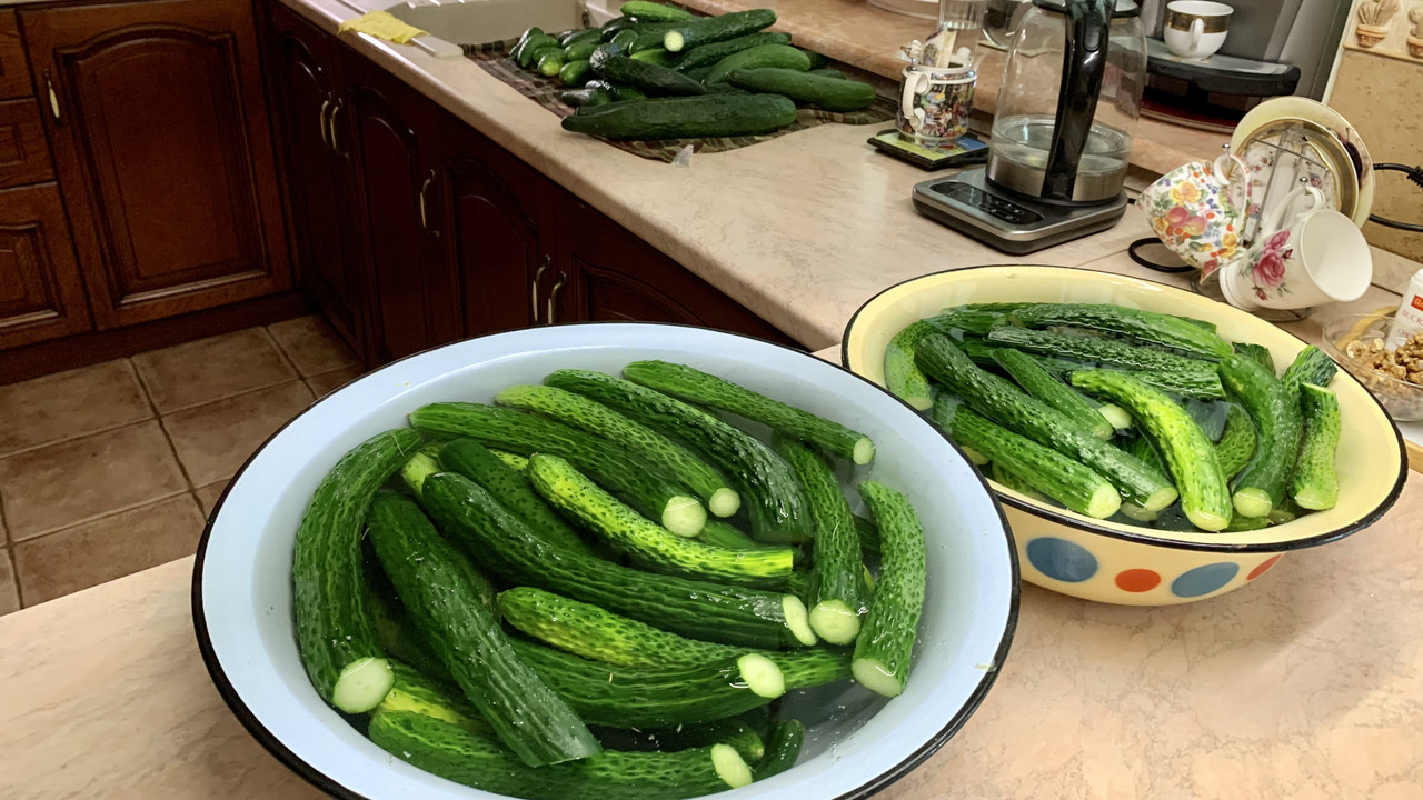 7A821E6F-1B66-4B80-8267-871A979C6BB1