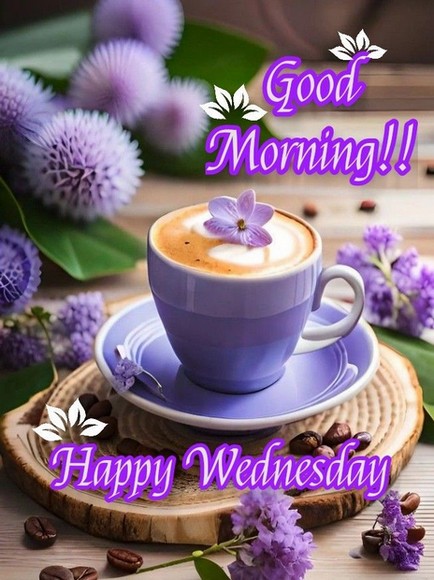 WEDNESDAY-mercredi-14