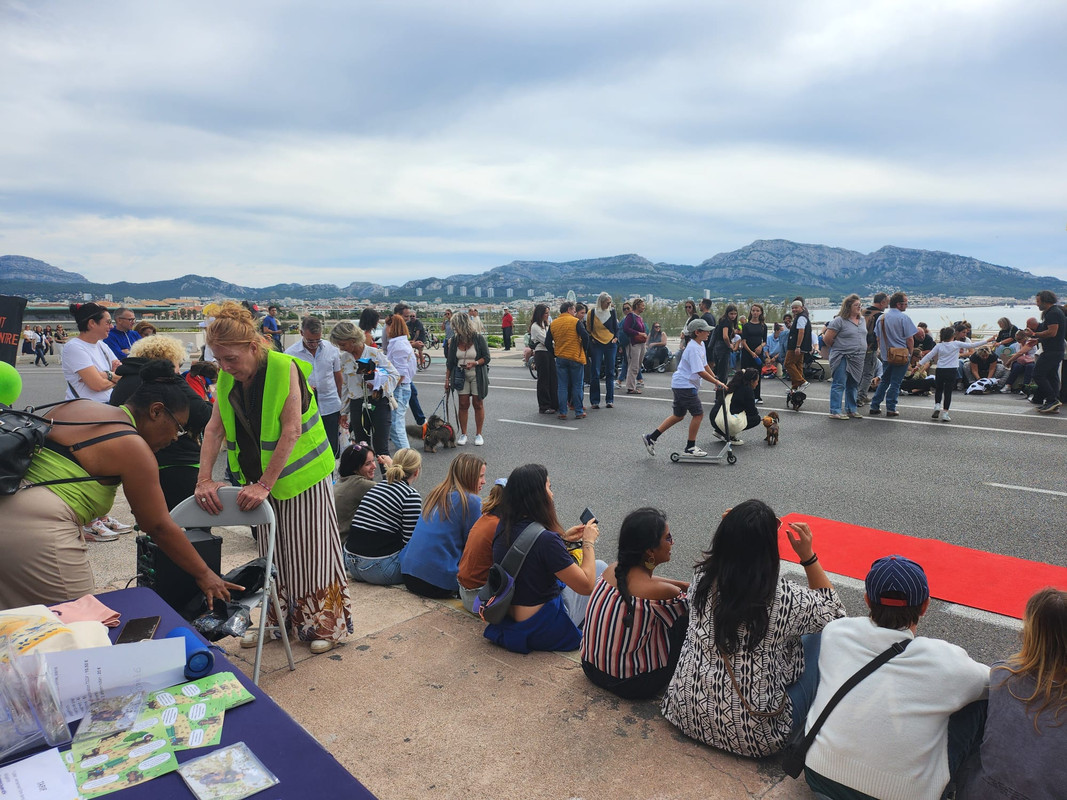 [Image: IMG-20250928-WA0010.jpg]