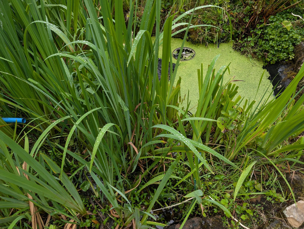 WhatsApp Image 2025-07-19 at 14.41.14_16027f45