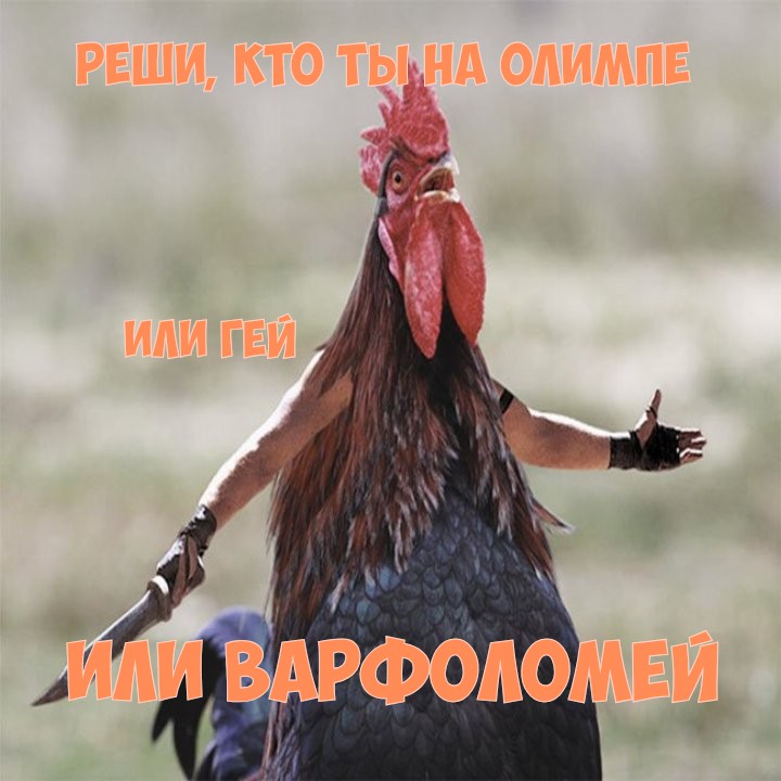 meme.jpg