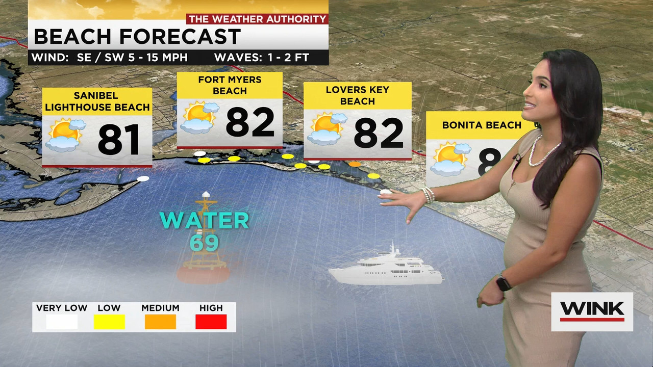 02.09 - 15.00.00 - WINK News at 10 00 a.m..ts_snapshot_00.16.58.958