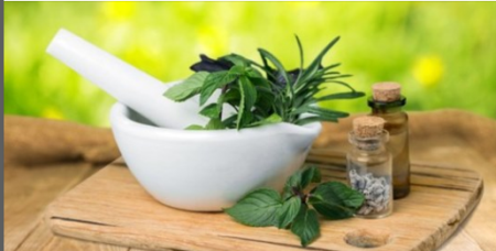 Herbalism :: Intro & Medicine Making Course [Certificate]