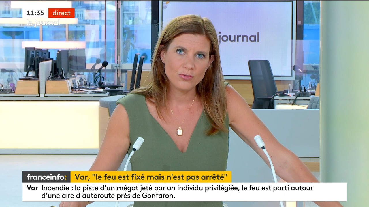08.20 - 09.23.00 - franceinfo  et tout est plus clair. L'émission et ....ts_snapshot_39.09.154