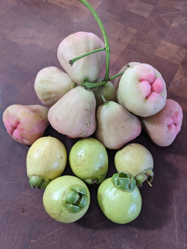 PXL_20210304_144106656