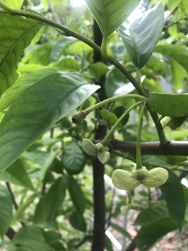 2656D6EF-F3CE-4C99-AC68-F1BF6743D3A8