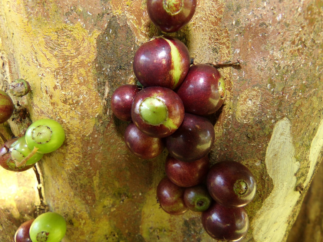 WhatsApp Image 2020-12-20 at 00.58.58 (17)