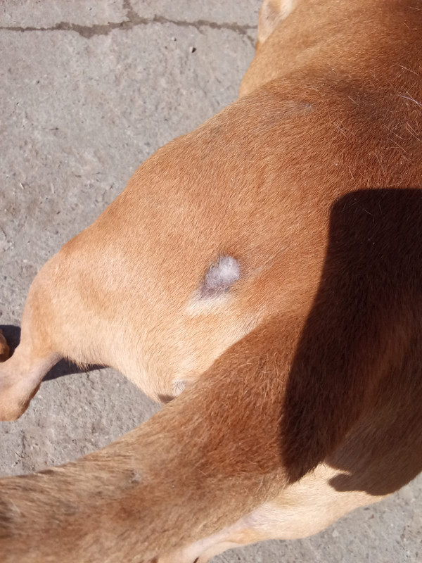 WhatsApp Image 2024-03-27 at 10.52.53 (1)