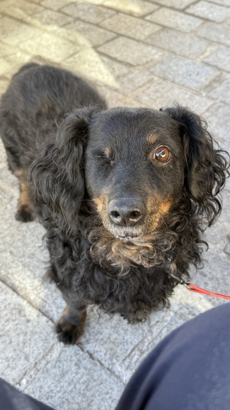 [Image: IMG-4071.jpg]