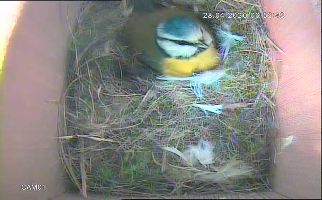 7A25D0BD-6EF2-4998-BCCC-A18876B90A5A