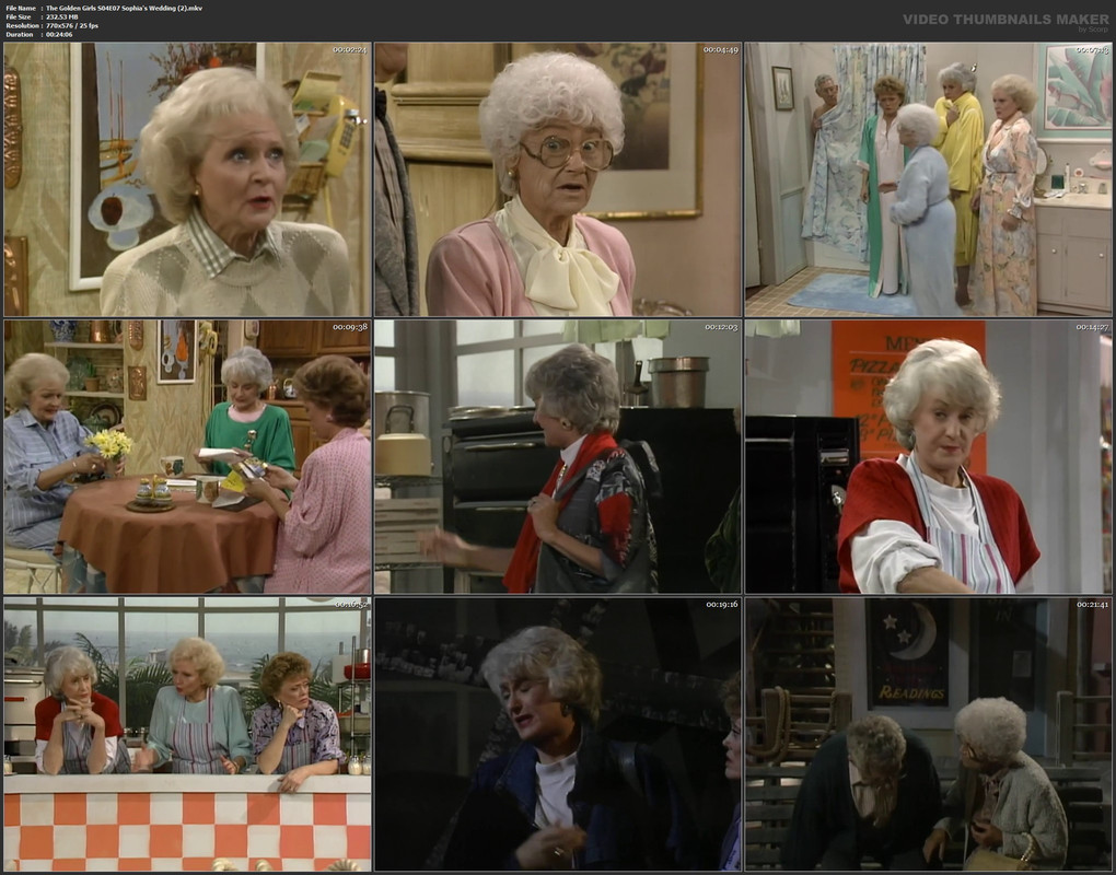 The Golden Girls S04E07 Sophia's Wedding (2).mkv