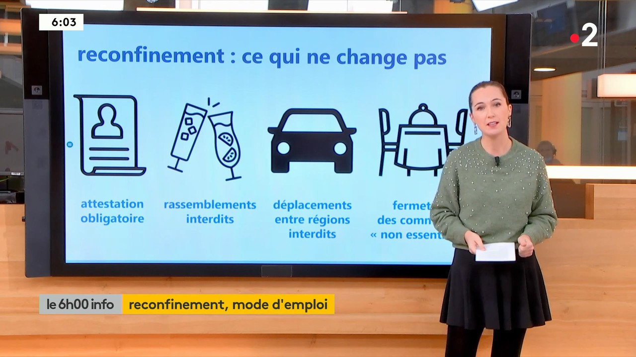 Pauline Forgue 2020-10-29.mp4_snapshot_00.12_[2020.10.29_18.06.21]