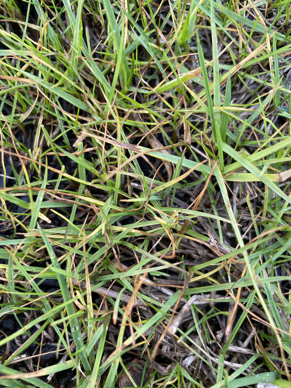 87691858-DFAD-4EB2-9A59-F072B5682939