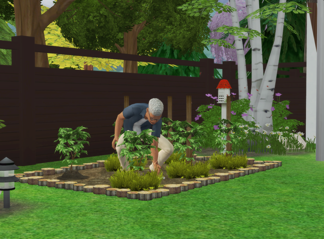 Sims2-EP9-RPC-2024-03-24-13-41-07-45