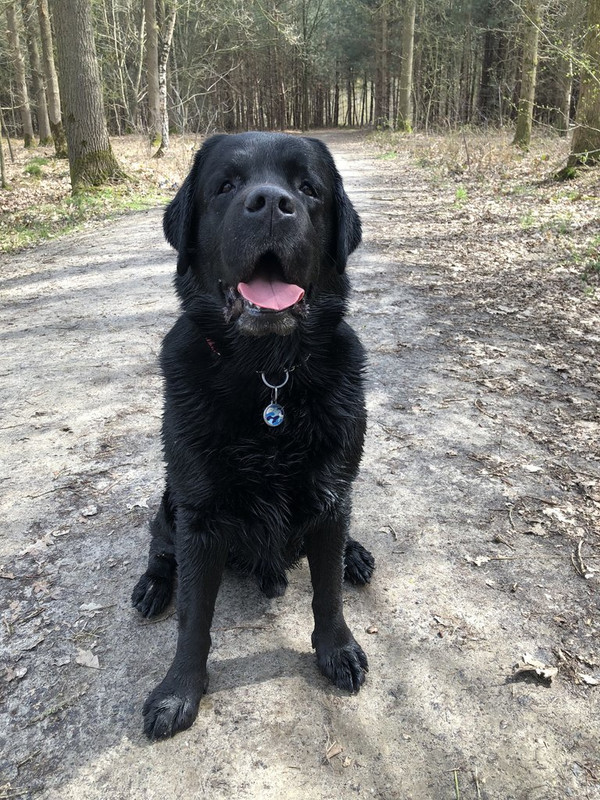 F951FC2D-302B-4801-A9F9-D634AD576046